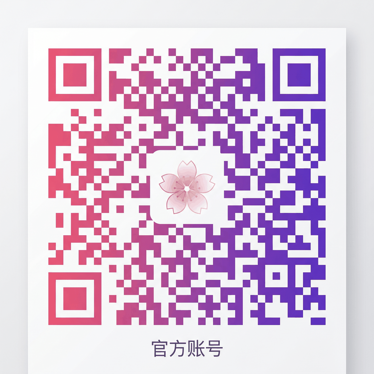 91公众号二维码